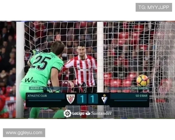 尼科与伊尼亚基：兄弟同队的生涯轨迹与角色演变分析